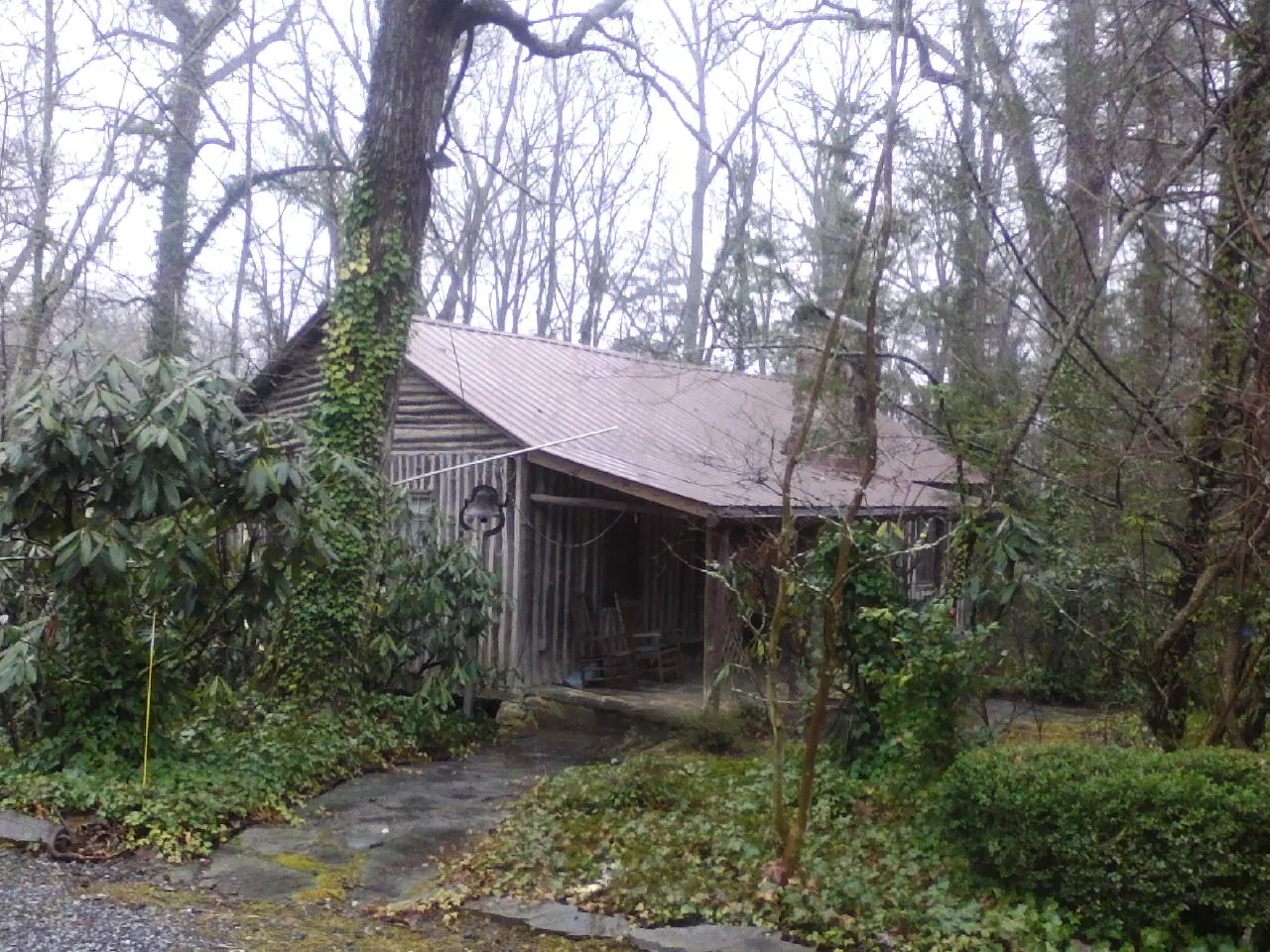 Weathered metal roof on an old board sided cabin in the woods in Cheshire